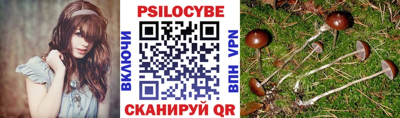 Галлюциногенные грибы Magic Shrooms  Власиха 